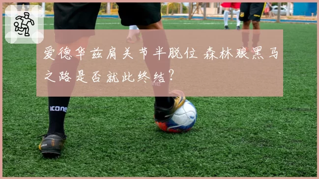 爱德华兹肩关节半脱位 森林狼黑马之路是否就此终结?