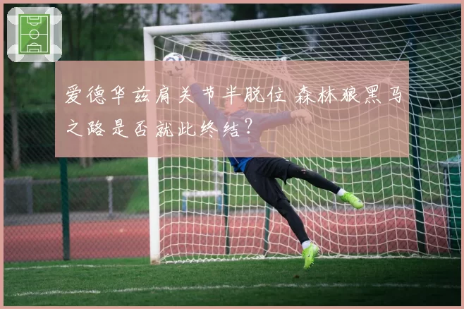 爱德华兹肩关节半脱位 森林狼黑马之路是否就此终结?