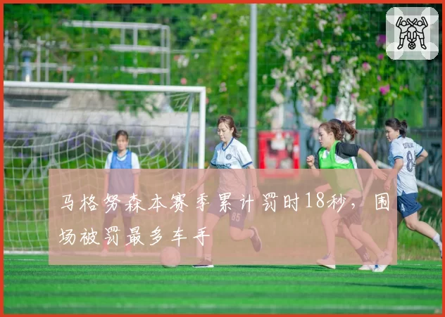 马格努森本赛季累计罚时18秒，围场被罚最多车手