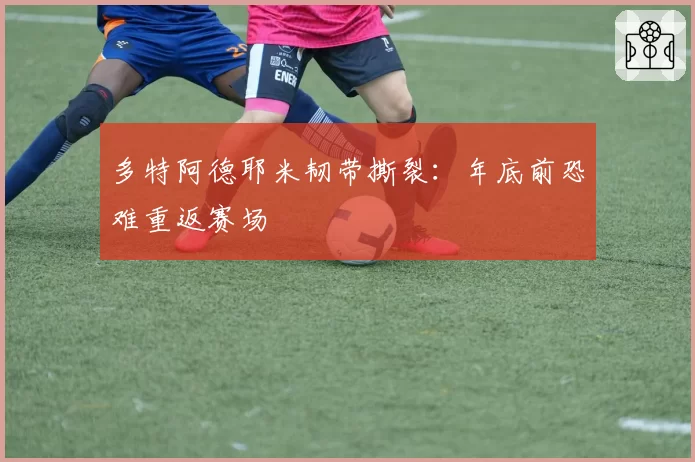 多特阿德耶米韧带撕裂:年底前恐难重返赛场