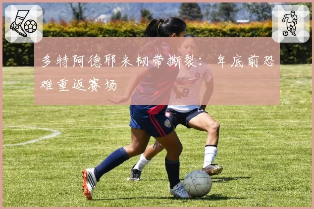 多特阿德耶米韧带撕裂：年底前恐难重返赛场