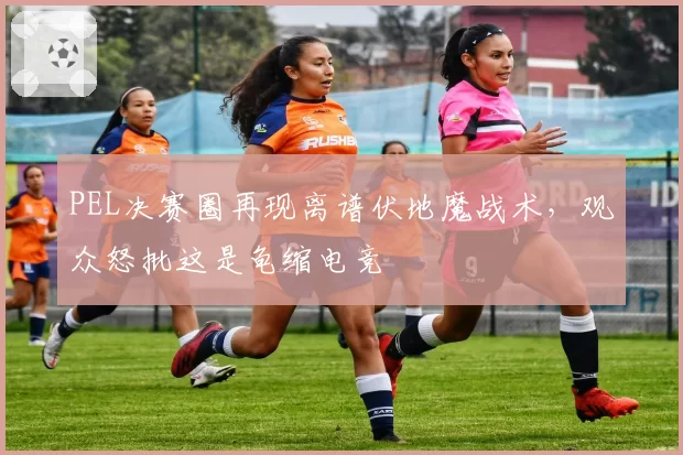 PEL决赛圈再现离谱伏地魔战术，观众怒批这是龟缩电竞